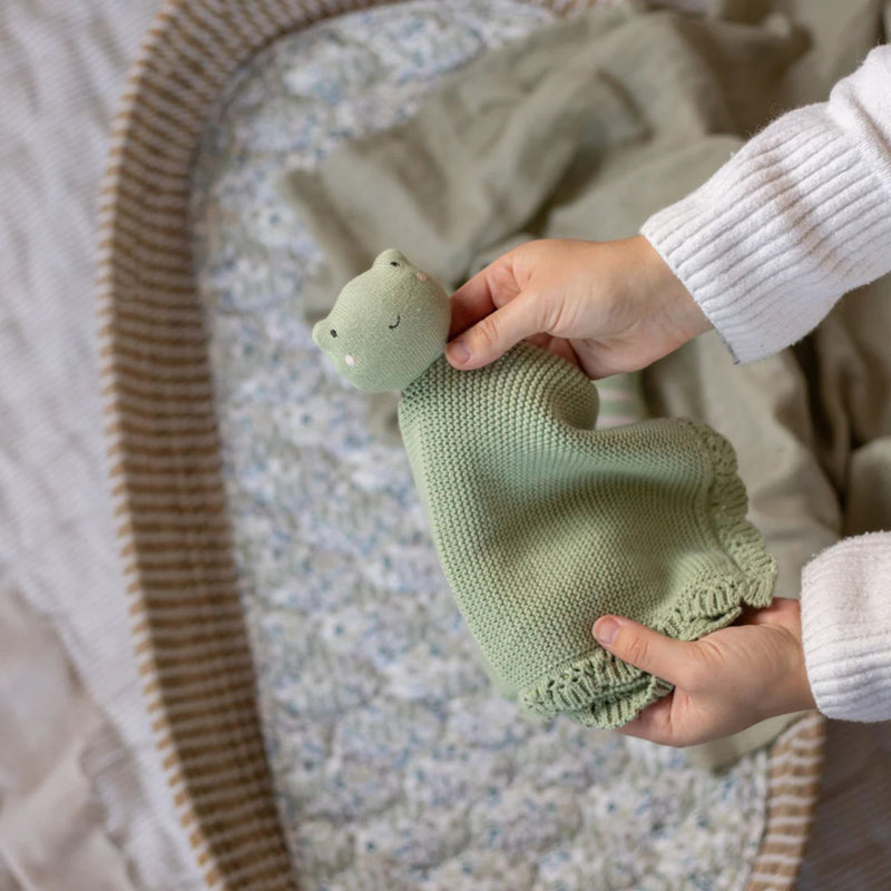 Organic Cuddle Cloth, Frog