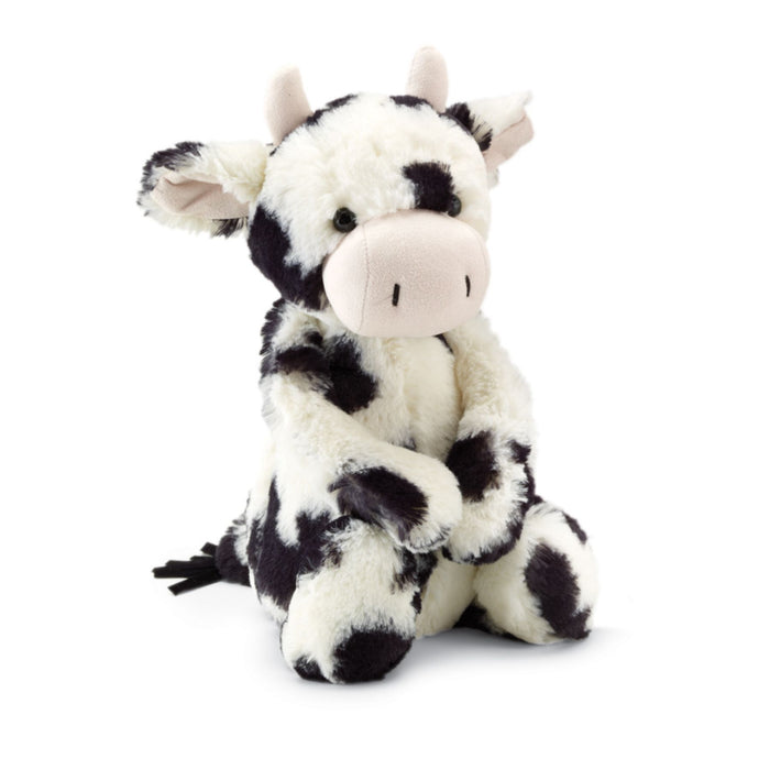 Bashful Calf