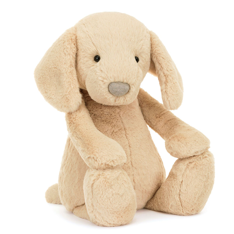 Bashul Luxe Puppy Orlando