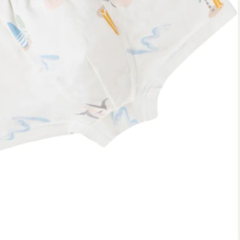 Bamboo Boys Boxer Underwear (2pack)