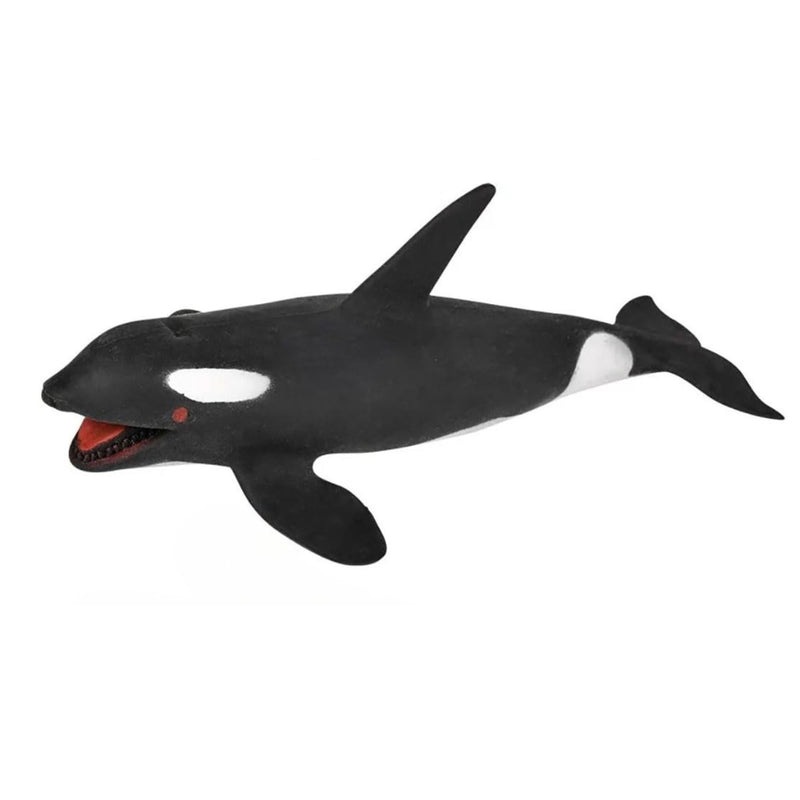 Stretchy Sand Sea Life