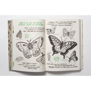 Hello Nature Draw Colour, Make and Grow-Simply Green Baby