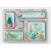 PlanetBox - Rover Magnets-Simply Green Baby