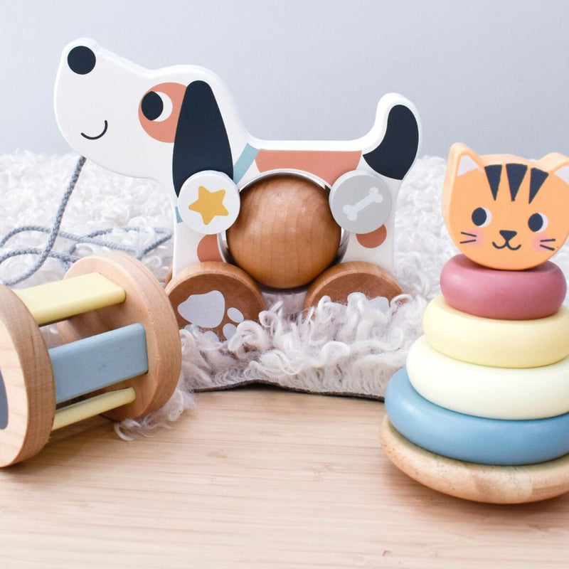 3 in 1 Baby Sensory Gift Set