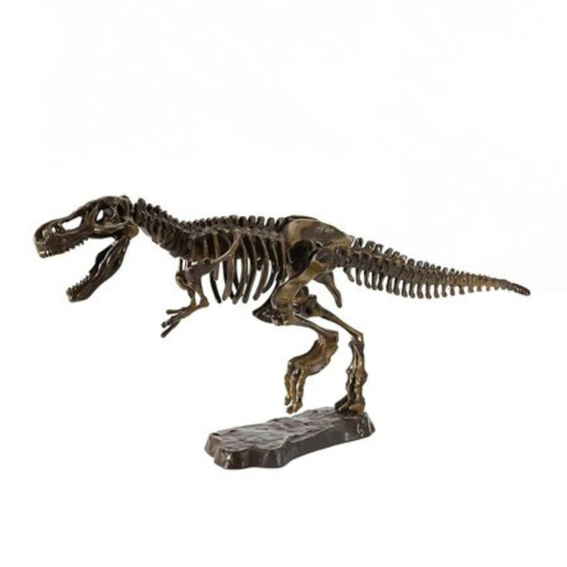 Archaeology Dinosaur Fossil 3D Puzzle