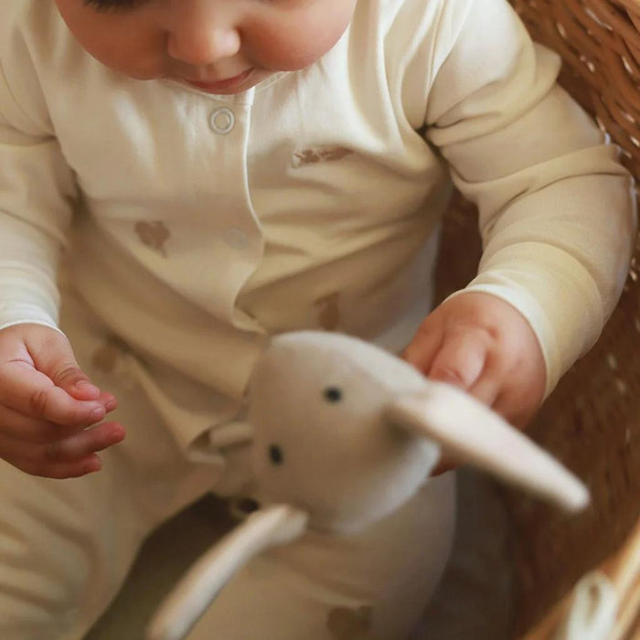 Embroidered Jersey Sleepsuit, Bunnies