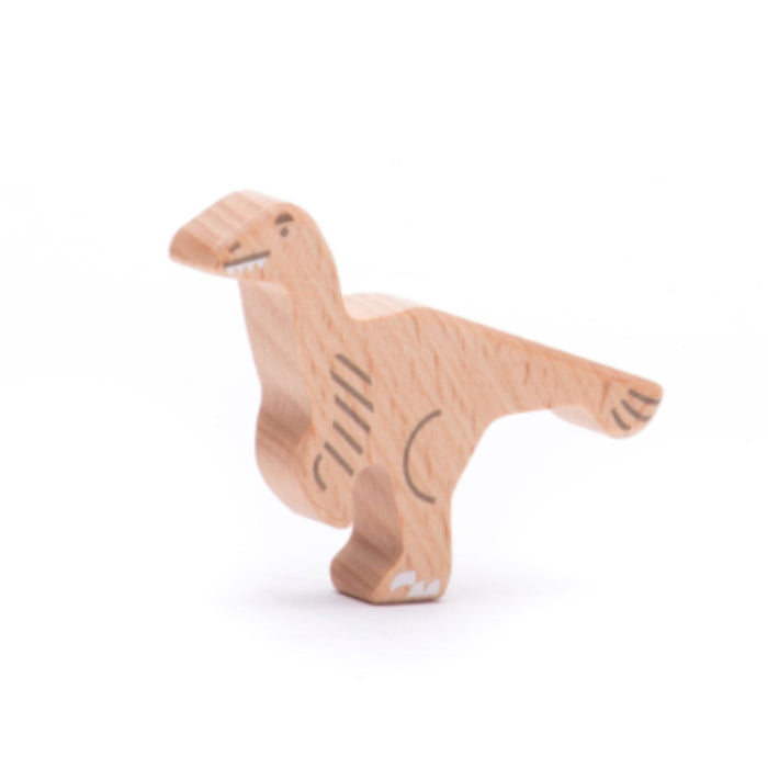 Dinosaur Figures Box Set