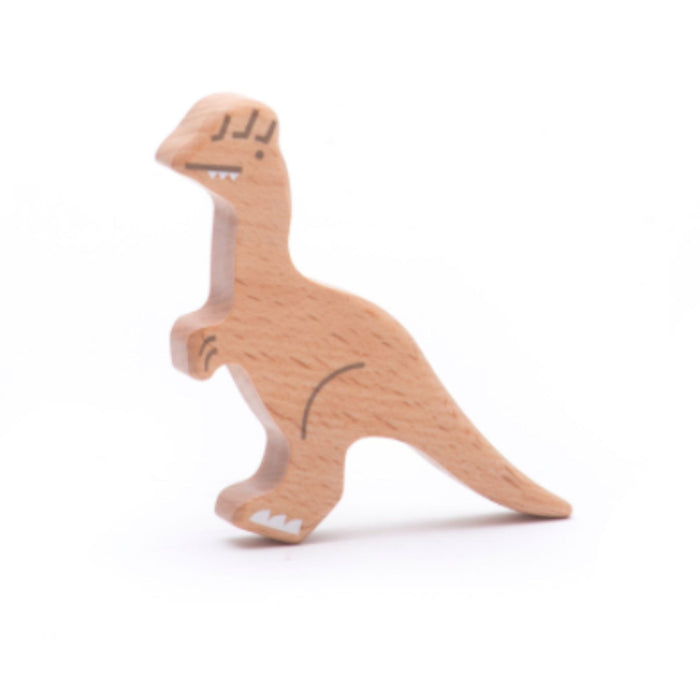 Dinosaur Figures Box Set