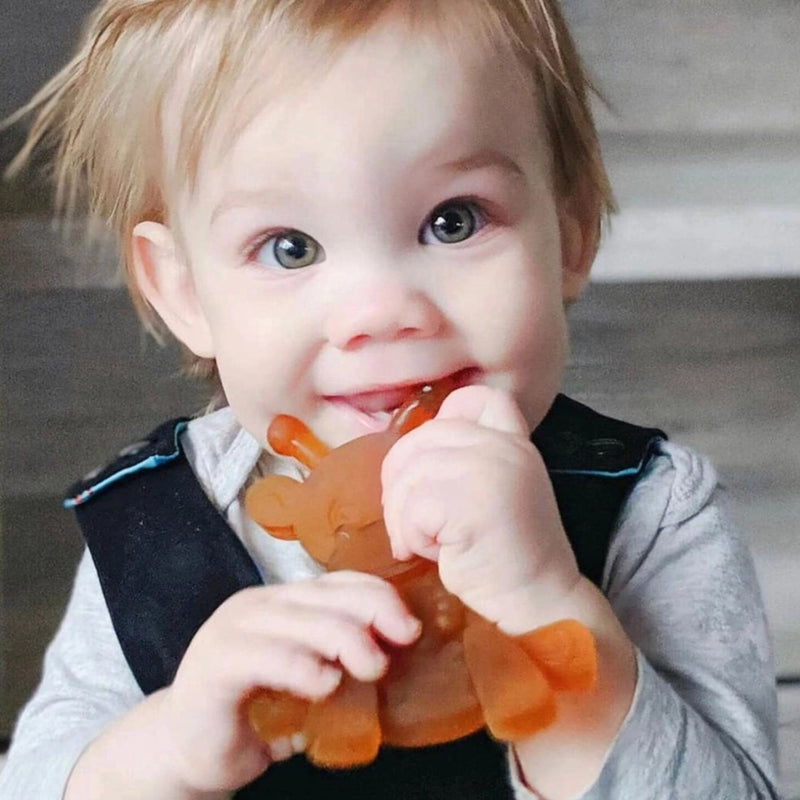 Natural Rubber + Baltic Amber Teether, Little Bamber