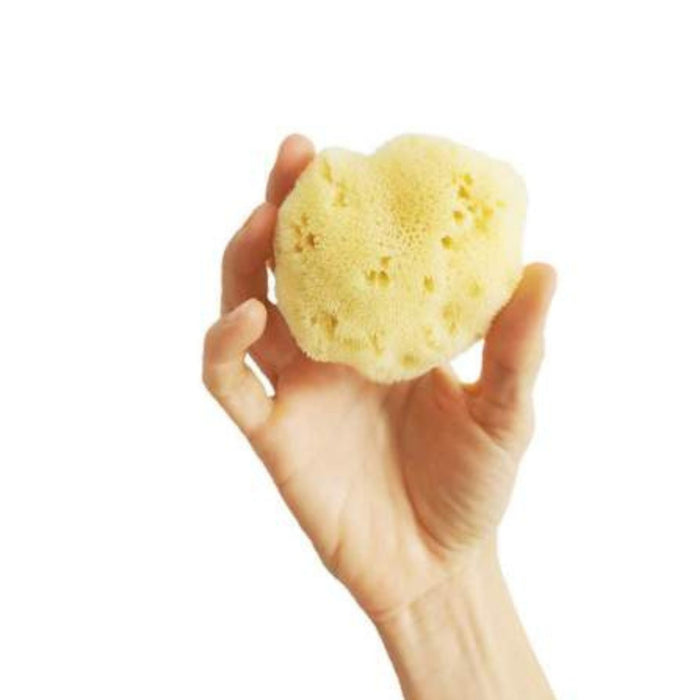 Natural Sea Sponge - Fine Silk