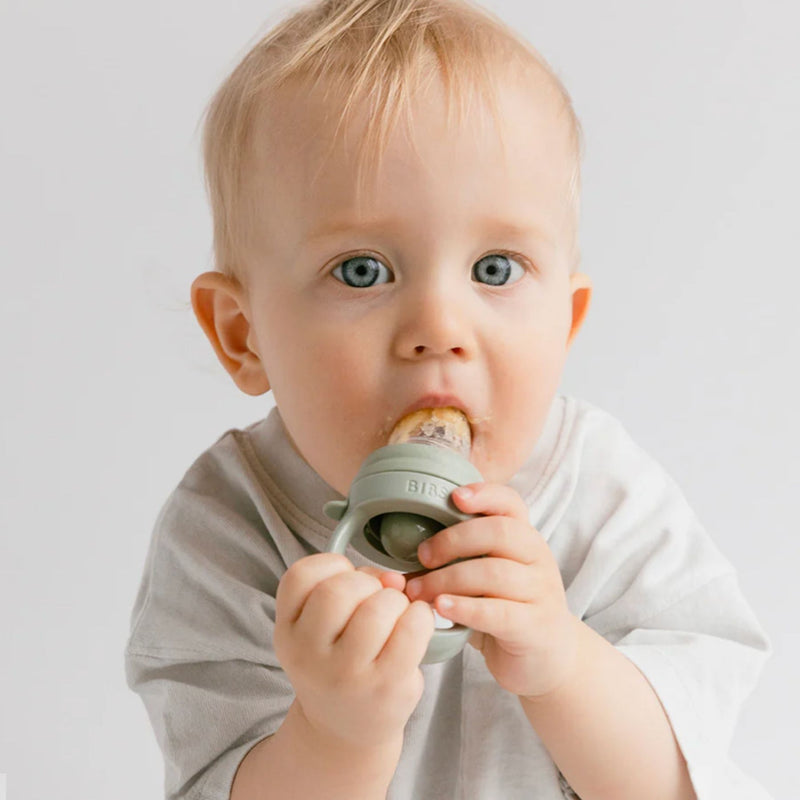 Baby Feeder