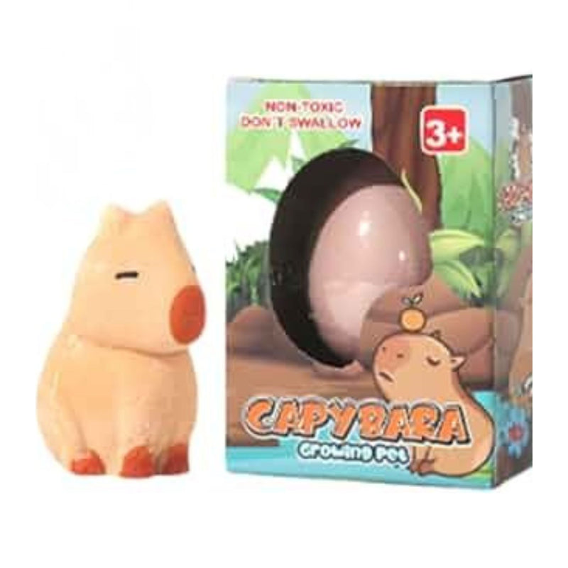 Growing Capybara Egg