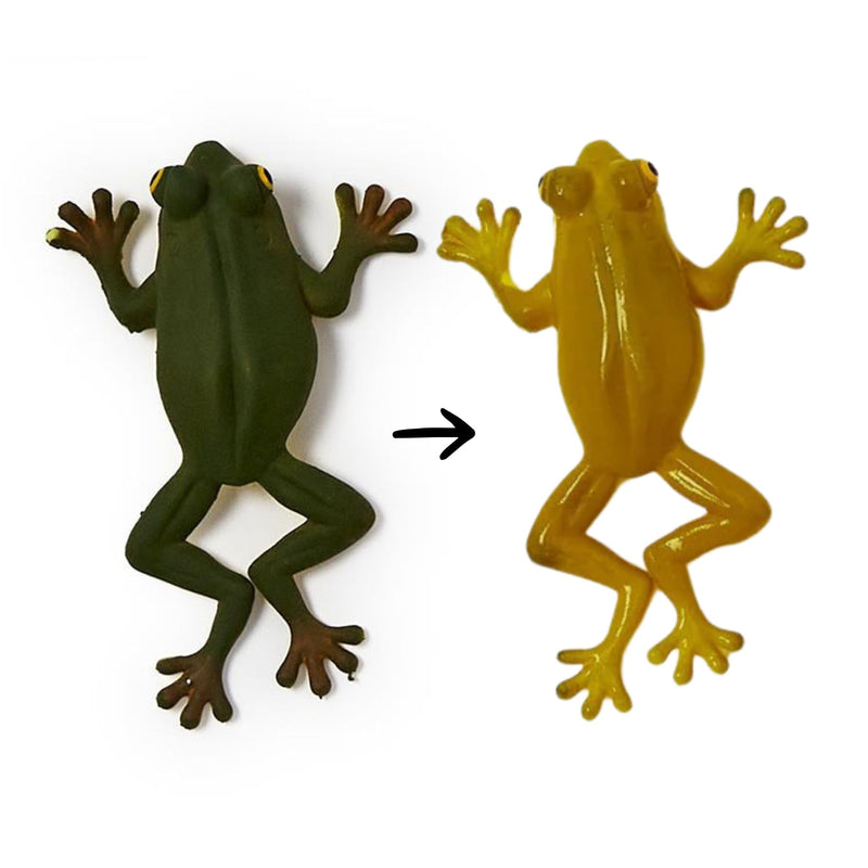 Colour Changing Squishy Frog