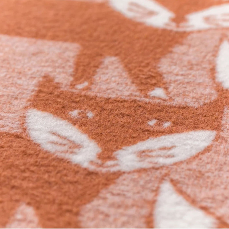 Mila Baby Velour Blanket - Pack of Foxes