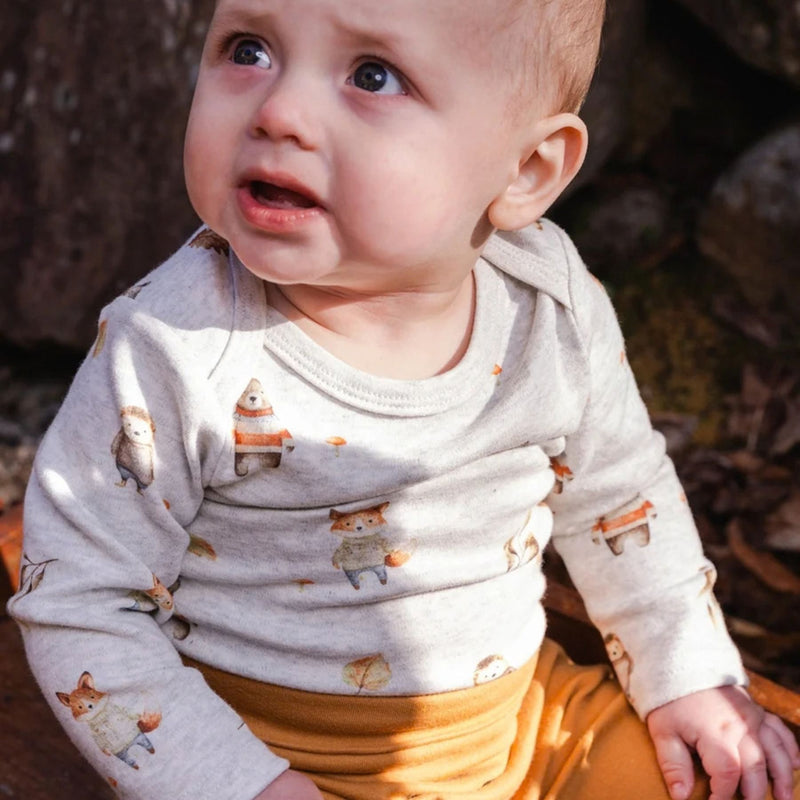 Organic Cotton Onesie and Evolution Pants Set, Animal Print