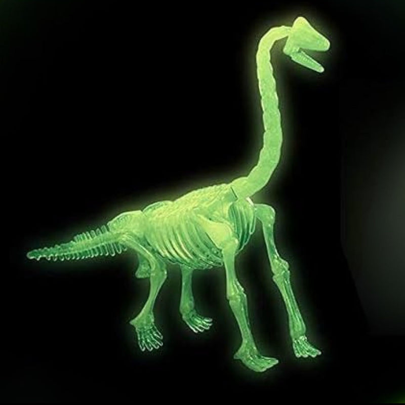 Dinosaurs Glowing Kits 3D Skeleton