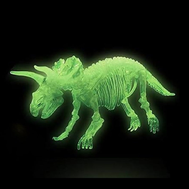 Dinosaurs Glowing Kits 3D Skeleton