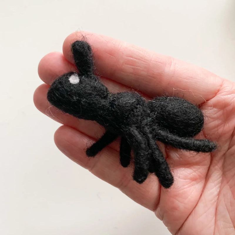 Felt Black Ant