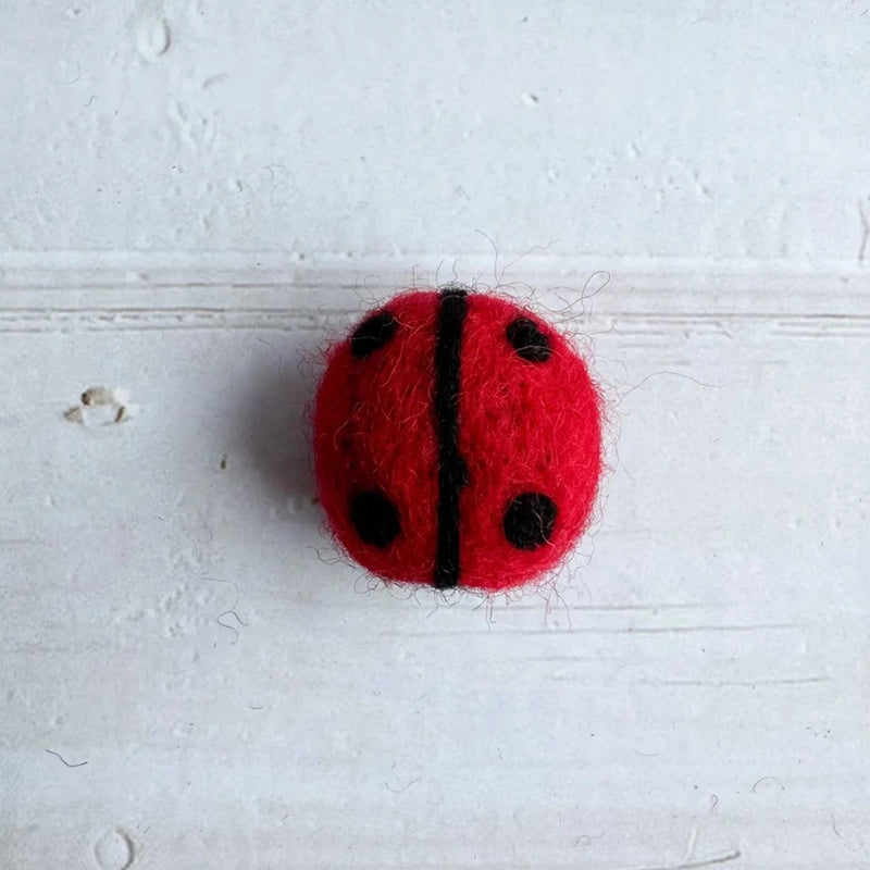 Felt Ladybug
