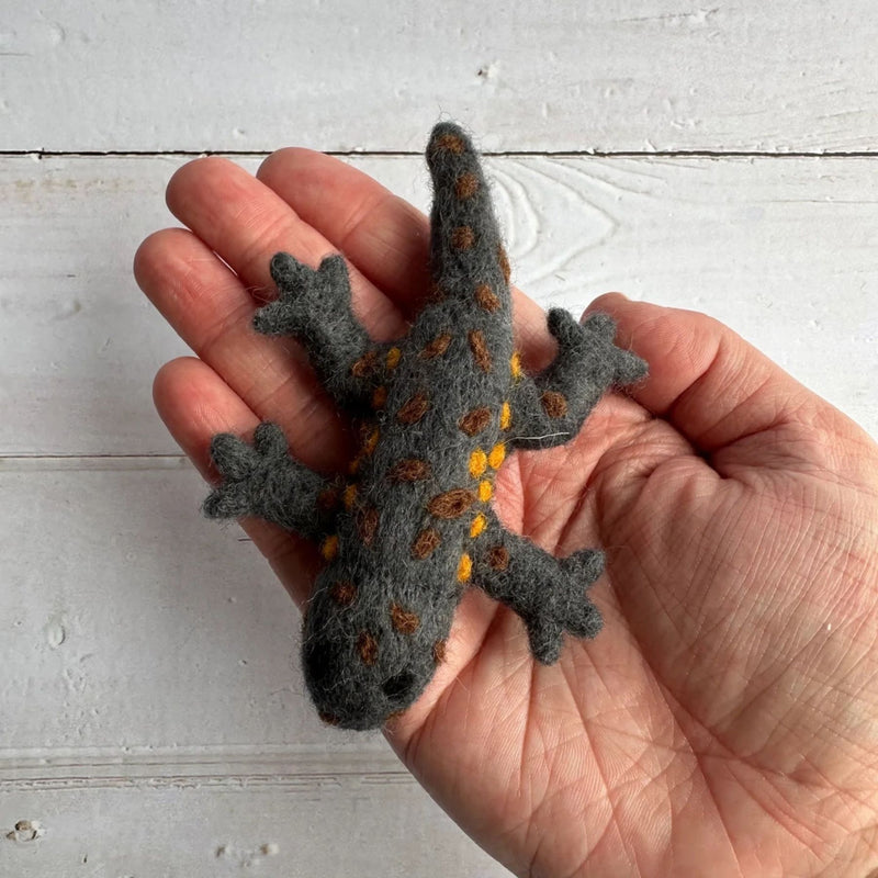 Felt Salamander