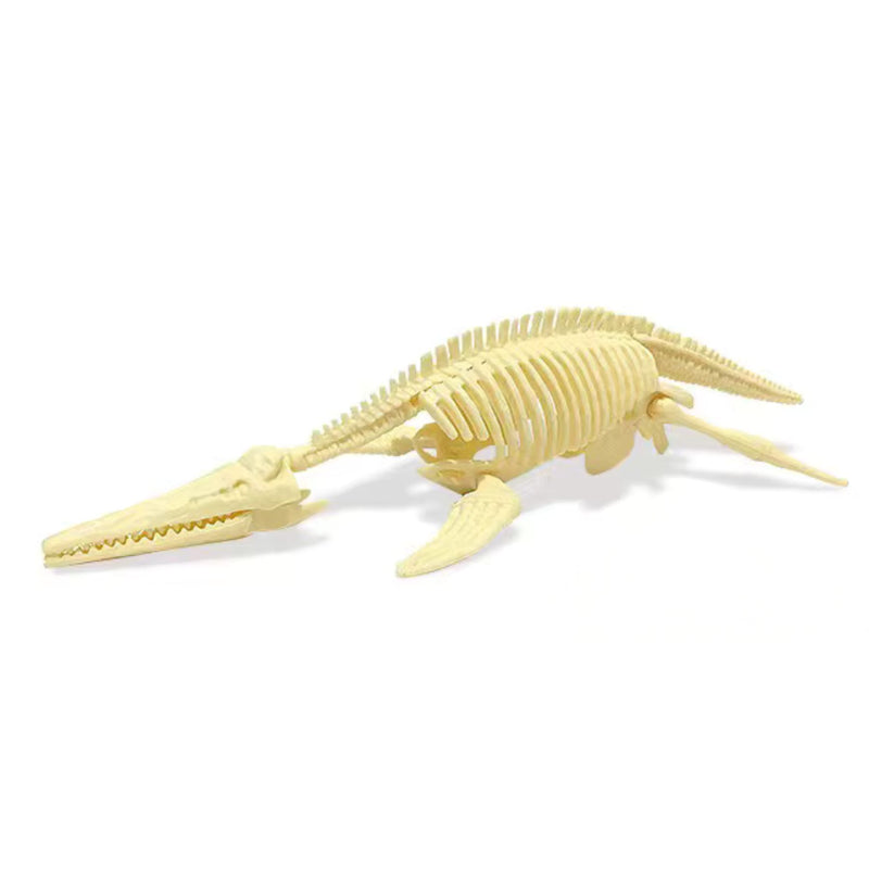 Found Jurassic - Dino Skeleton