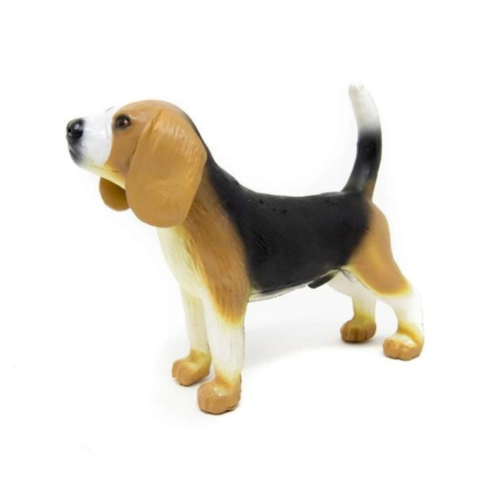 Beagle Dog