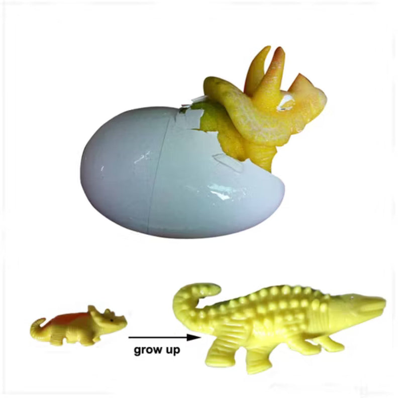 Growing Dinosaur Egg