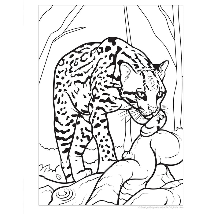 Great Amazon + Rainforest Colouring Book