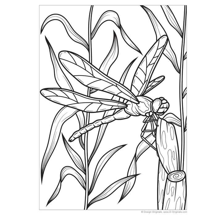 Super Cool Bugs and Spiders Colouring Book