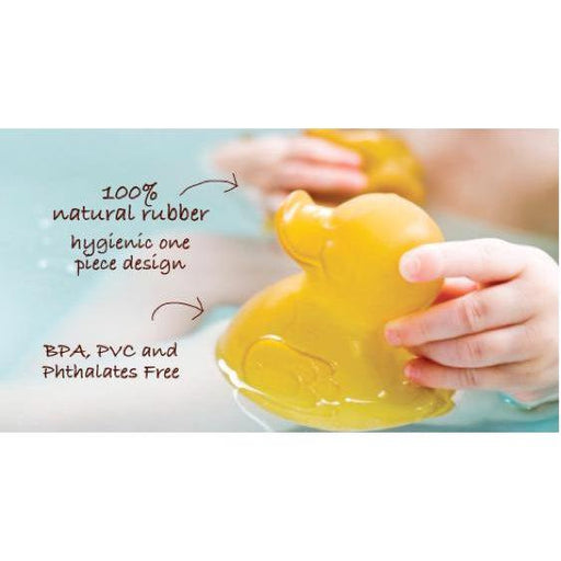 Hevea Pond Bath Toys-Simply Green Baby