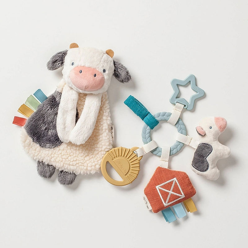Bitzy Busy Gift Set
