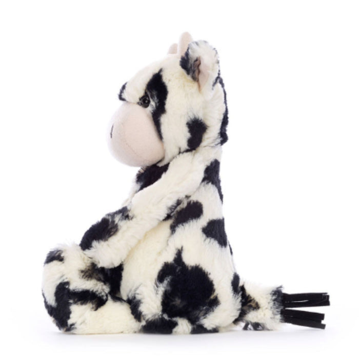 Bashful Calf