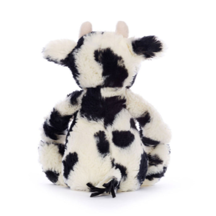 Bashful Calf