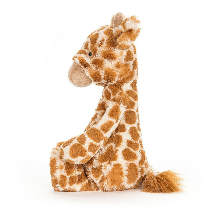 Bashful Giraffe