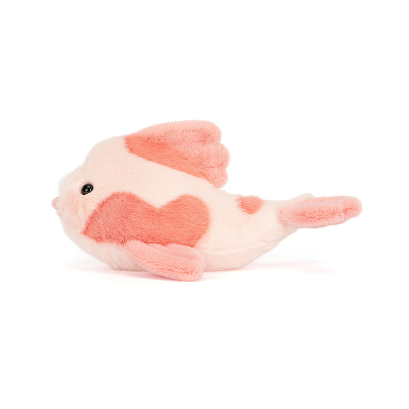 Fancy Carp