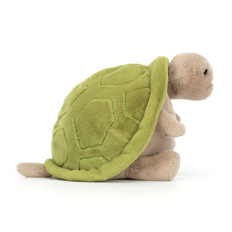 Timmy Turtle