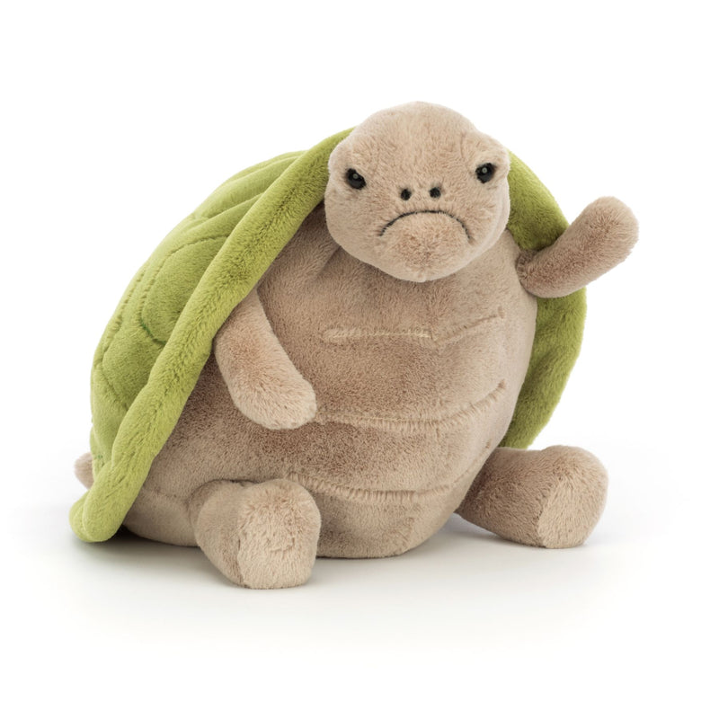Timmy Turtle