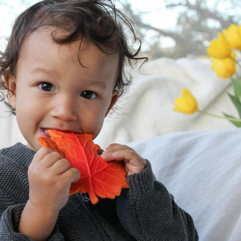 Natural Rubber Teether - Autumn Maple Leaf