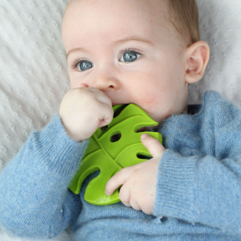 Natural Rubber Teether - Monstera Deliciosa