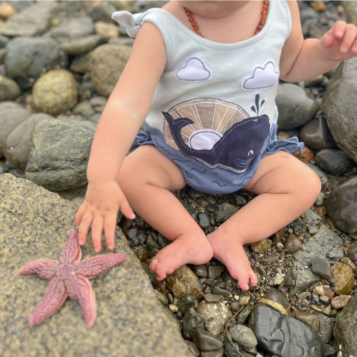 Organic Appliqué Bodysuit, Whale