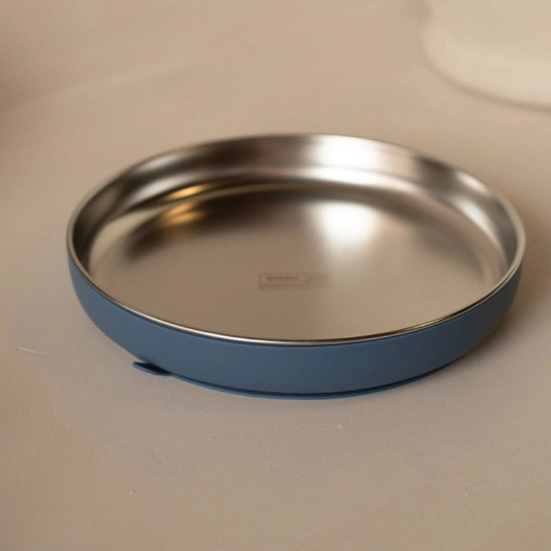 Stainless Steel Plate with Silicone Suction Base