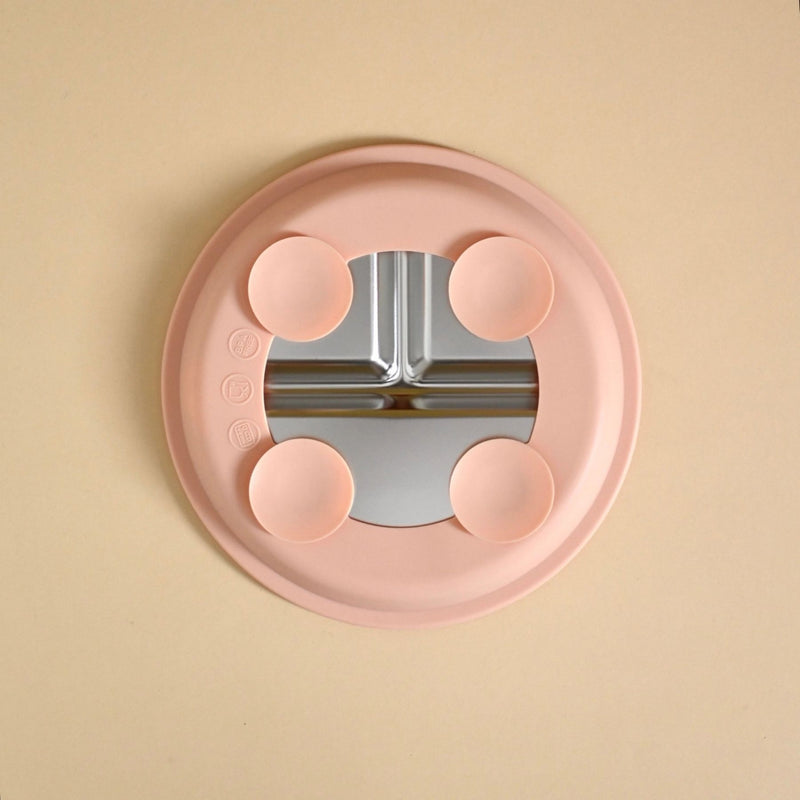 Stainless Steel Divided Plate with Silicone Suction Base