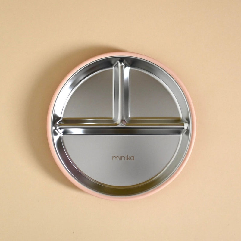 Stainless Steel Divided Plate with Silicone Suction Base