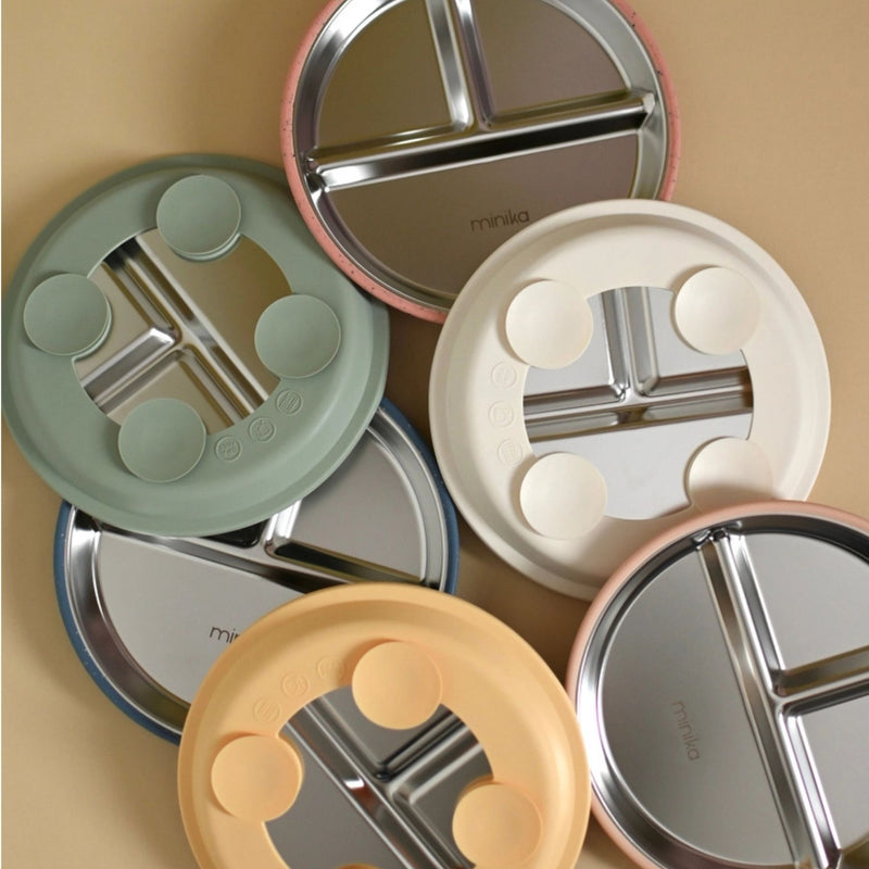 Stainless Steel Divided Plate with Silicone Suction Base