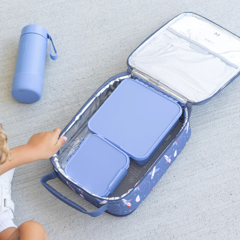 Large Insulated Lunch Bag