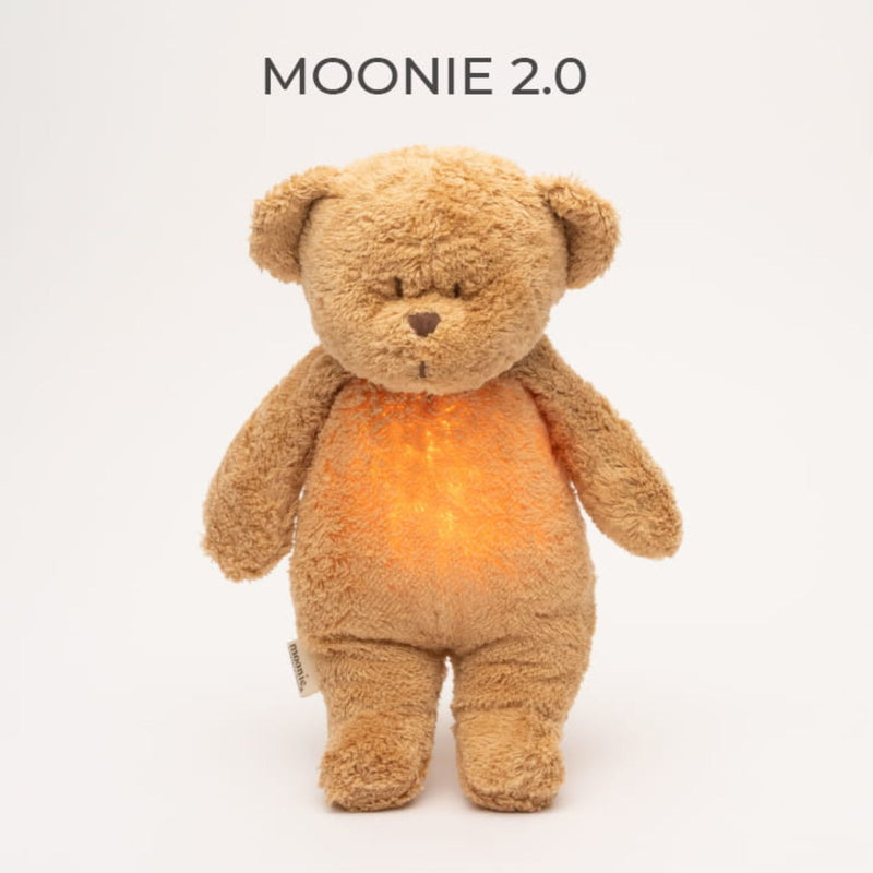 Organic Humming Bear with A Lamp