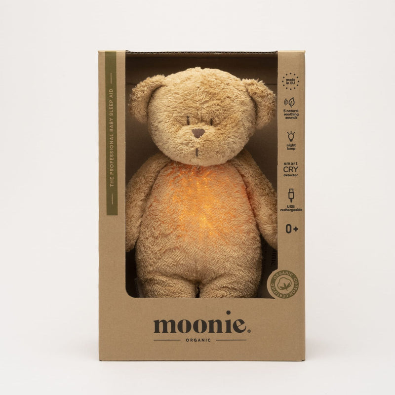 Organic Humming Bear with A Lamp