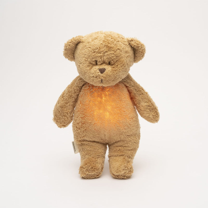 Organic Humming Bear with A Lamp
