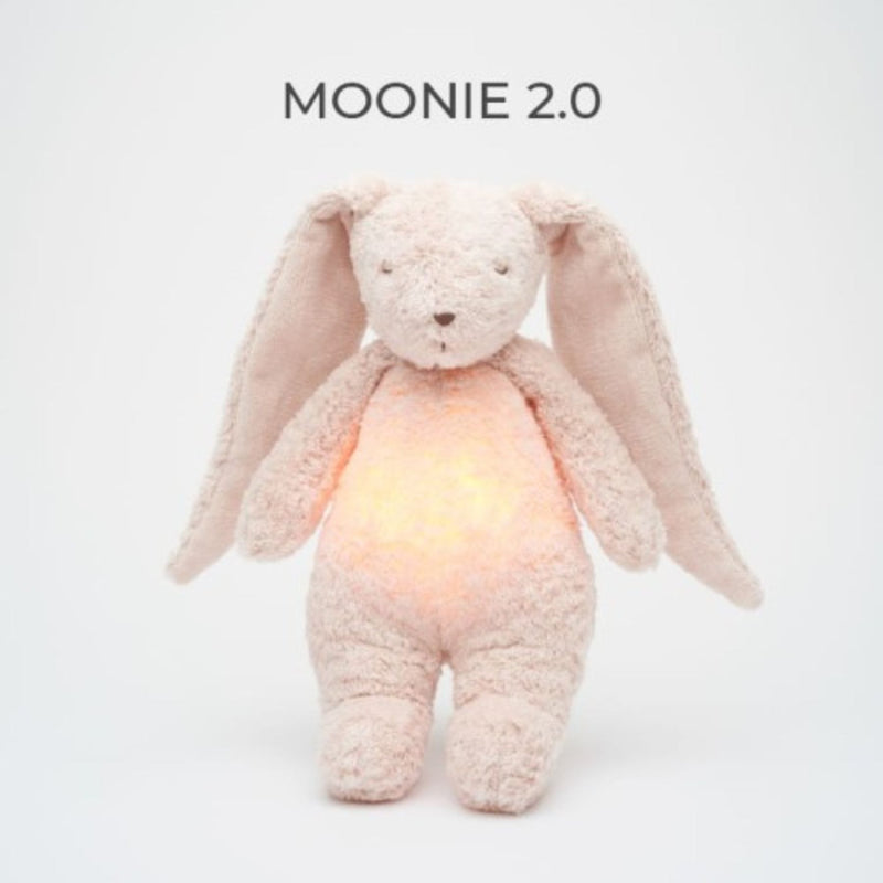 Organic Humming Bunny with A Lamp