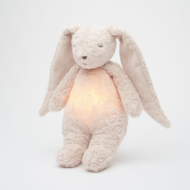 Organic Humming Bunny with A Lamp